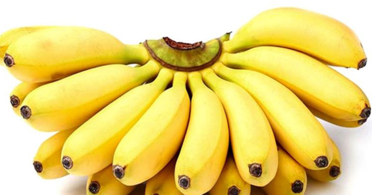 Bananas At Home Will Be Good For A Long Time Just Need To Know Five Simple Tips1, Lifestyle: বাড়িতে কলা ভালো থাকবে বহুদিন শুধু জানতে হবে সহজ পাঁচটি টিপস, Lifestyle: বাড়িতে কলা ভালো থাকবে বহুদিন, শুধু জানতে হবে সহজ পাঁচটি টিপস